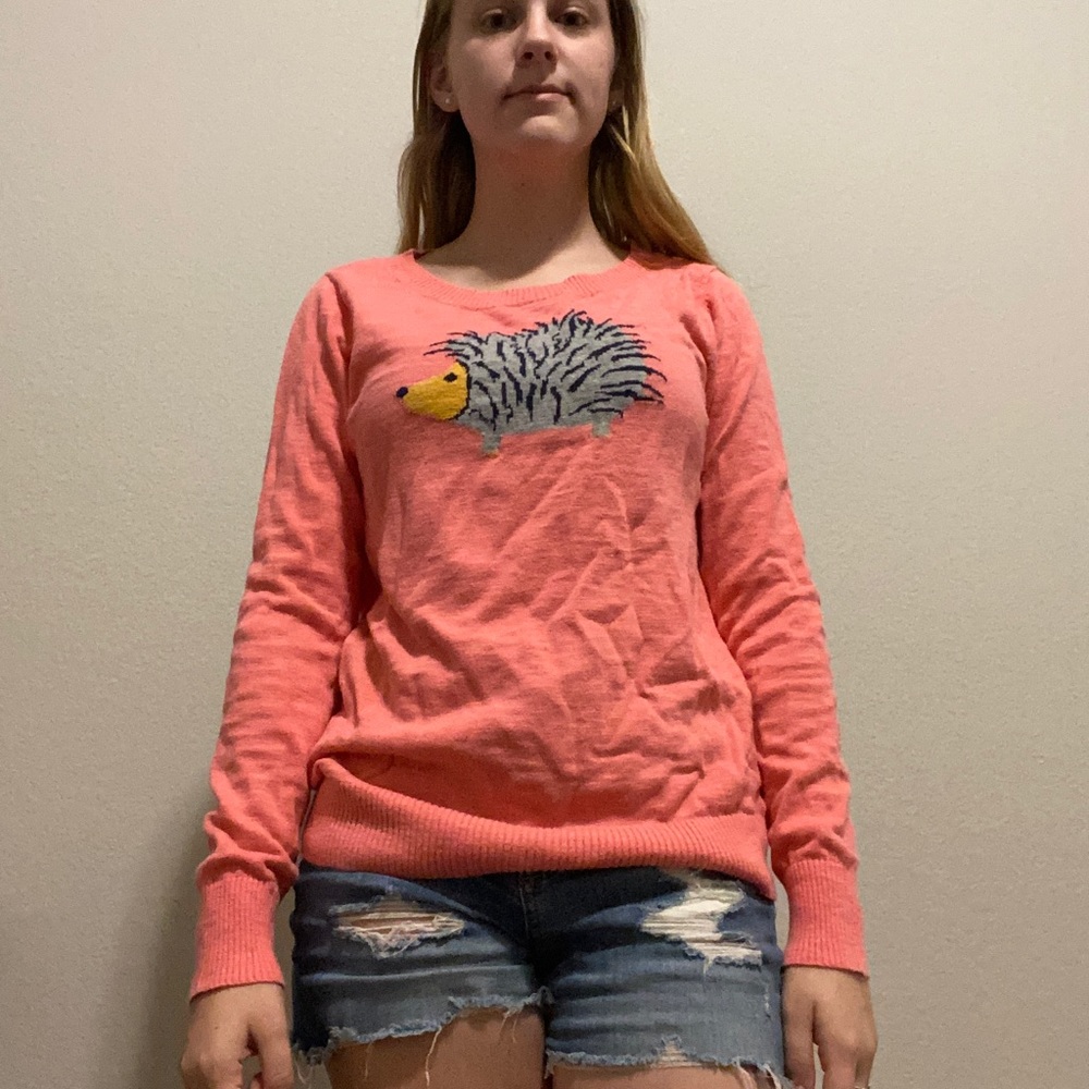 Target cute hedgehog sweater size large